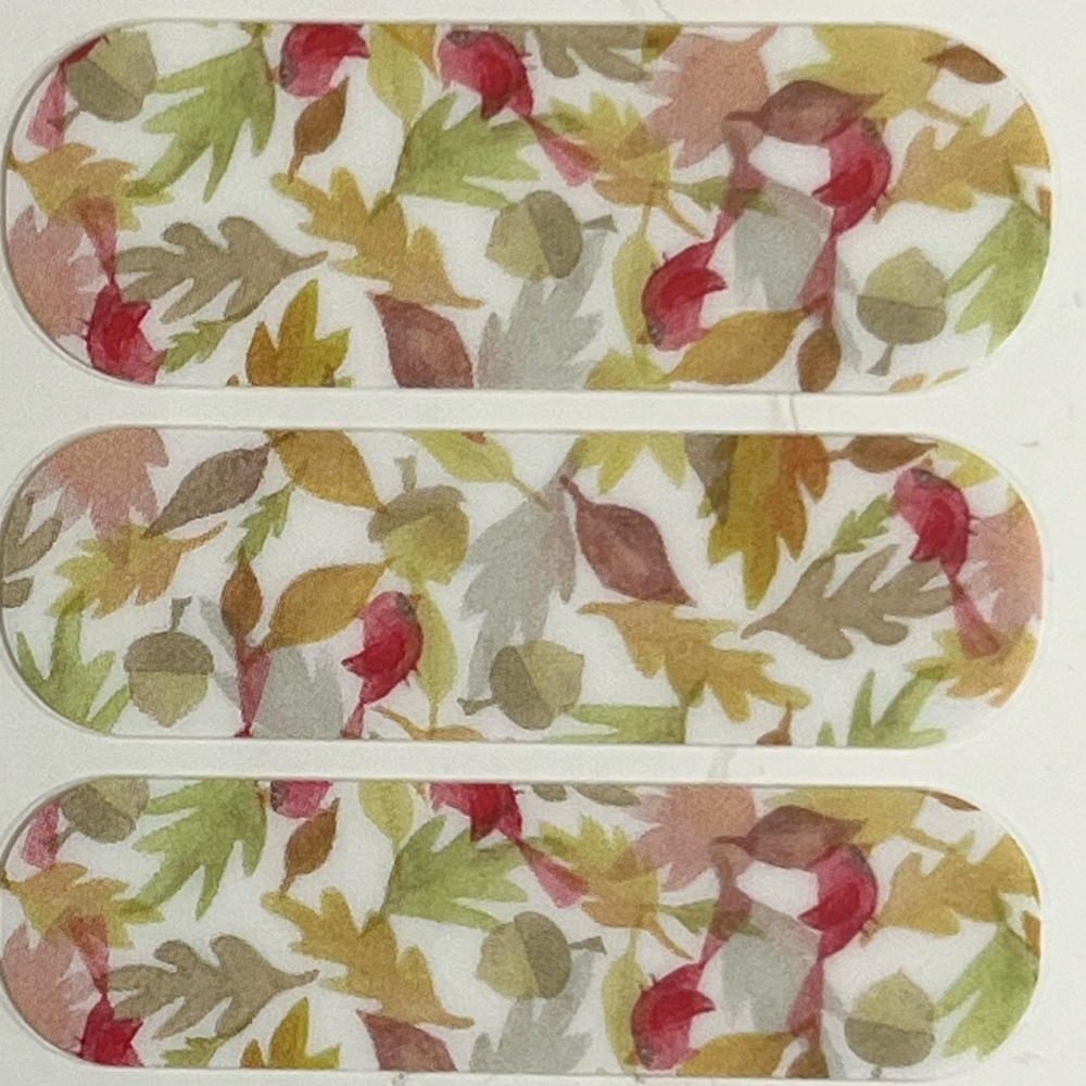 Jamberry Nail wraps In the Air autum leaves style